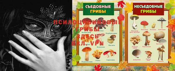 дурь Балахна