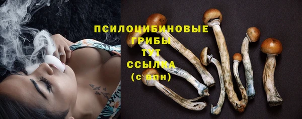 дурь Балахна
